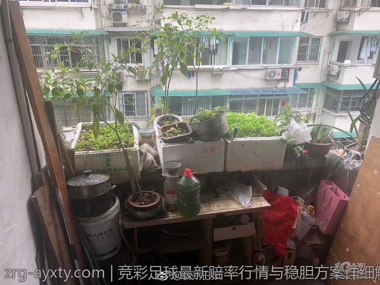 竞彩足球最新赔率行情与稳胆方案详细解析