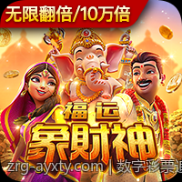 数字彩票追号软件免费版操作流程详解